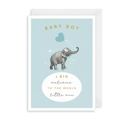 Elephant Baby Boy Greetings Card