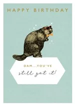 Happy Birthday Dam You've Still Got It, Greeting Card