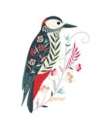 Woodpecker, Greeting Card