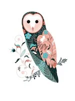 Barn Owl, Greeting Card