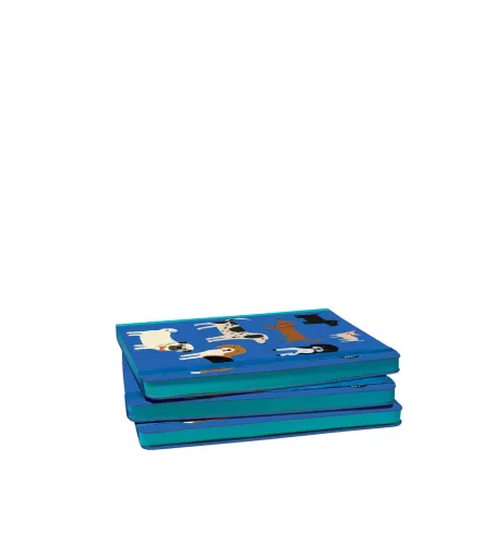 Shaggy Dogs A5 Journal with elastic binder