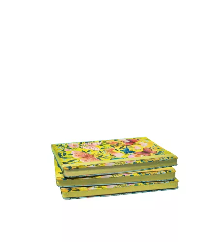 Butterfly Ball Sunshine A5 Journal with elastic binder