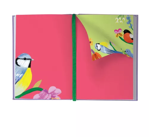 Birdhaven Illustrated Journal