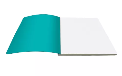 Shaggy Dogs Large Softback Journal