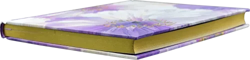 Poppies in Bloom Journal