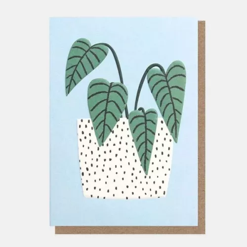 Plant In Pot, Greeting card
