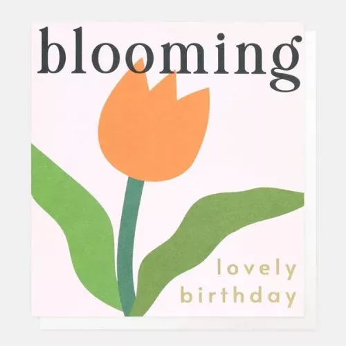 Blooming Lovely Birthday Orange Tulip, Greeting card