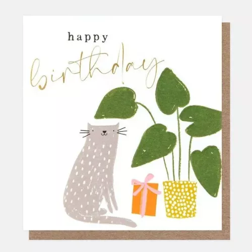 Happy Birthday Cat With Plant