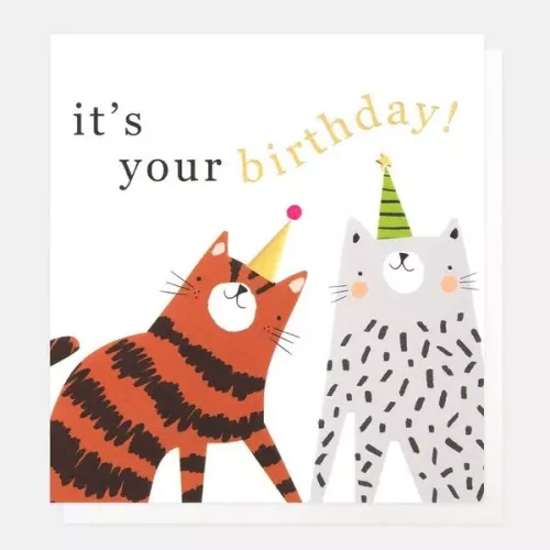 It'S Your Birthday Cats In Party Hats, Greeting card
