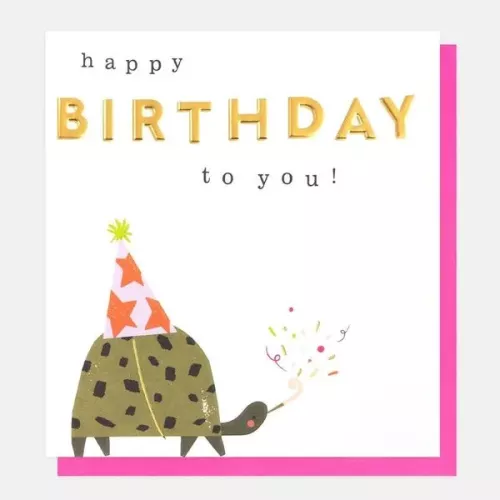 Happy Birthday To You Tortoise With Confetti, Greeting card