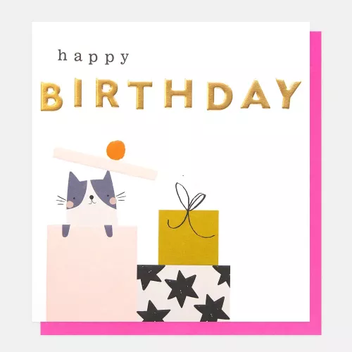 Happy Birthday Cat In Birthday Present Box, Greeting card