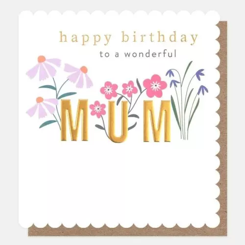 Happy Birthday To A Wonderful Mum Gold Font With Floral Sprigs, Greeting card