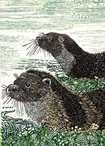 Mother and Cub in the Voe, Greeting Card