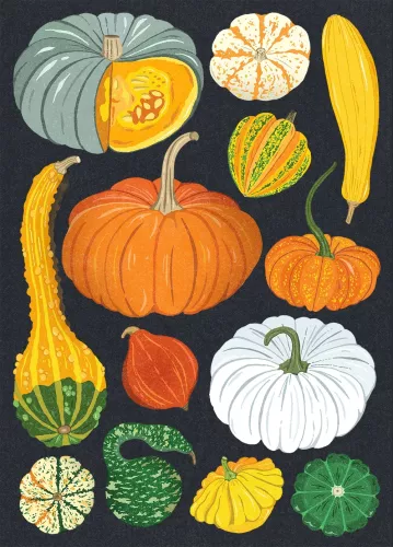 Pumpkin Harvest, Greeting Card