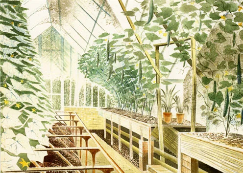 Cucumber House, Greeting Card
