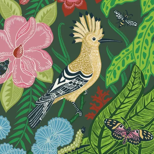 Hoopoe, Greeting Card