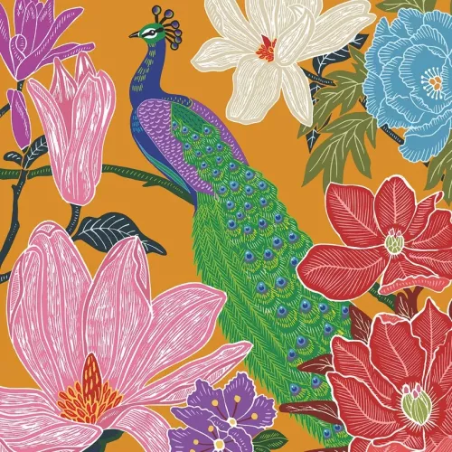 Peacock, Greeting Card