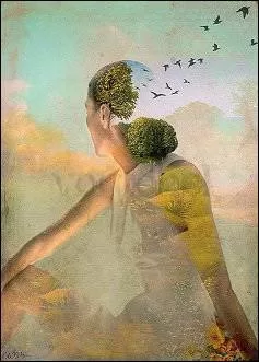 Summerdream (2012), Postcard
