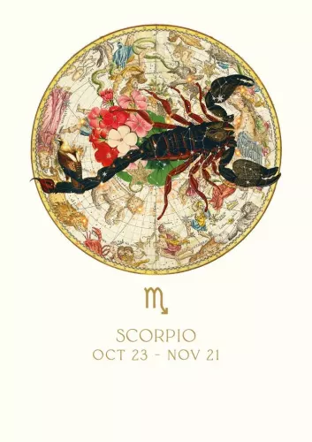 Scorpio, Greeting Card