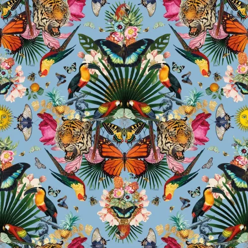 Toucan Kaleidoscope, Greeting Card