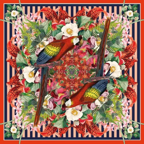 Parrot, Greeting Card