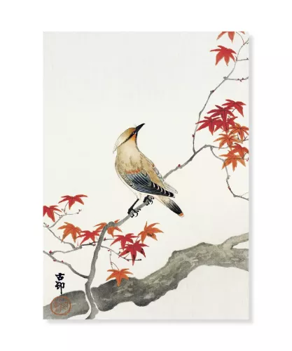 Japanese Plague Bird, Ohara Koson, Vykort