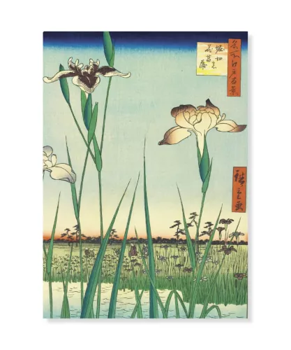 Horikiri Iris Garden, Vykort