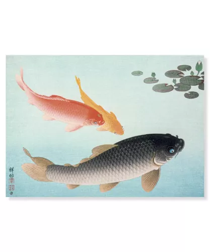 Golden Carp, Ohara Koson, Vykort