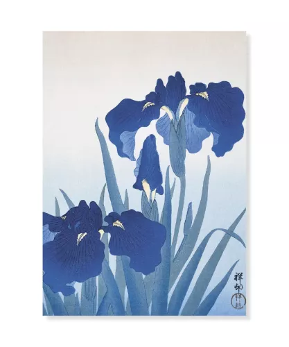 Blue Irises, Ohara Koson, Vykort