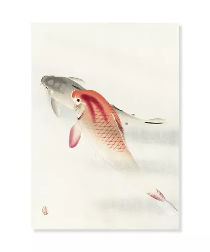 Two Carps, Ohara Koson, Vykort