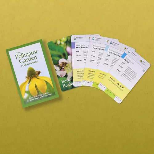 Pollinator Garden Planning Deck