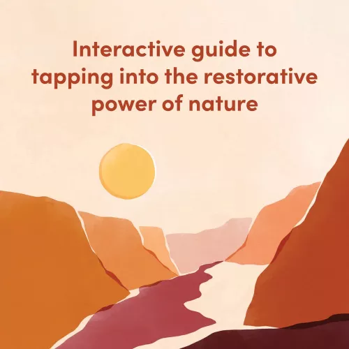 Nature Meditations Journal