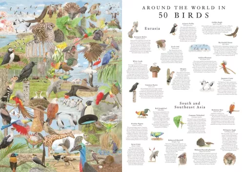 Around the World in 50 Birds, 1000 Piece Puzzle