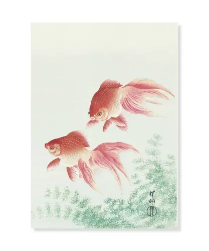 Two Veil Goldfish, Ohara Koson, Vykort