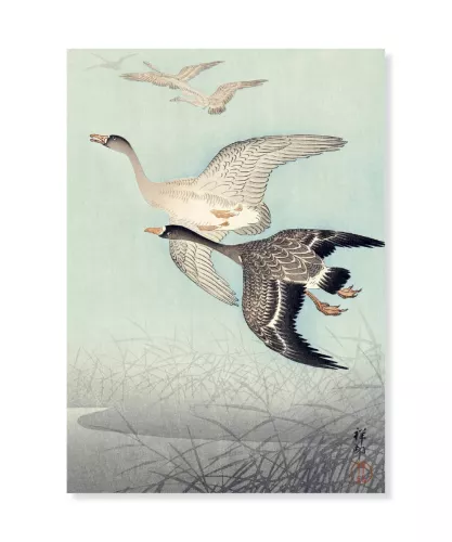 Great geese in flight, Ohara Koson, Vykort