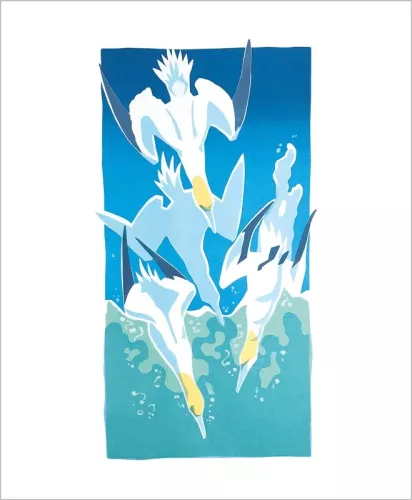Gannets Diving