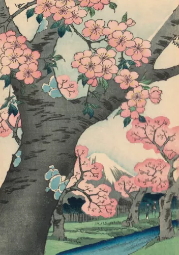 Cherry Blossoms at Koganei in the Eastern Capital (Toto Koganei sakura), Greeting Card