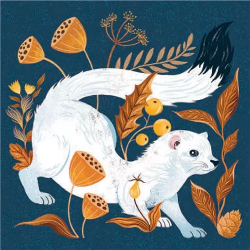 Ermine, Greeting Card