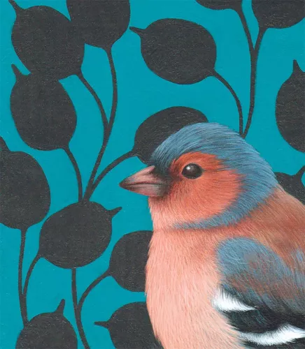 Chaffinch, Greeting Card