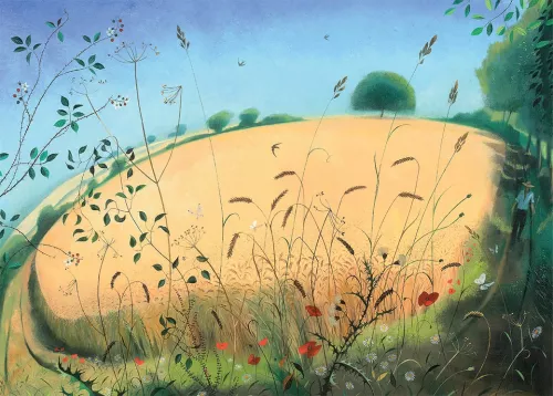 Edge of A Cornfield