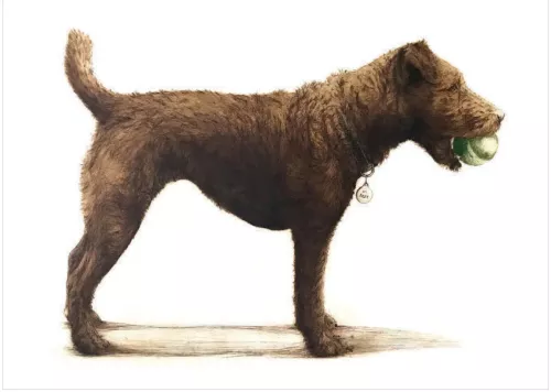 Izzy with her Ball, Greeting Card
