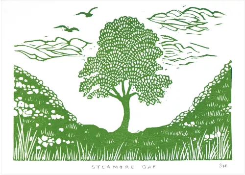 Sycamore Gap, Greeting Card