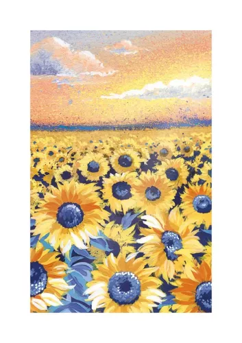 Sunflower Field, Greeting Card