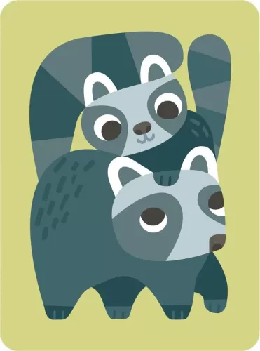 Raccoons, Greeting Card