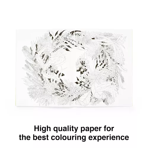 Walk in the Woods, an Intricate Colouring Book