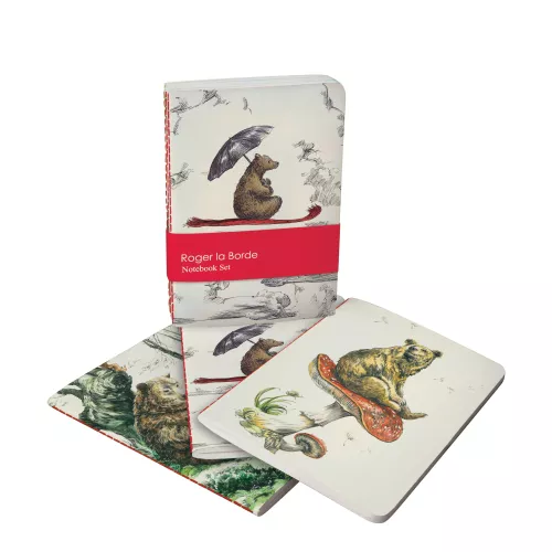 Flying Bear A6 Exercise Books set
