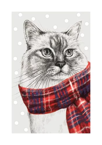 Ragdoll Cat In Scarf, Greeting Card