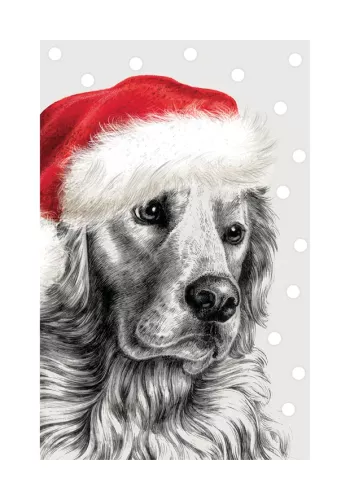 Retriever In Hat, Greeting Card