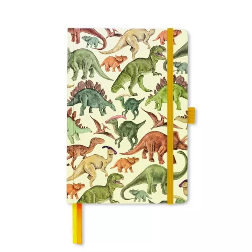 Dinosaurs & Stripe Notebook