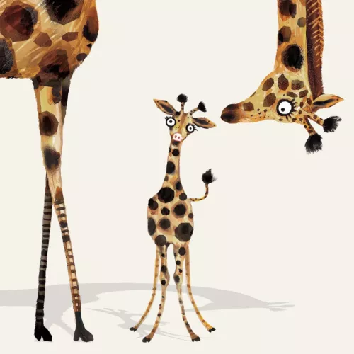 Baby Giraffe, Greeting Cards
